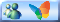 Peau neuve pour le forum Msnm